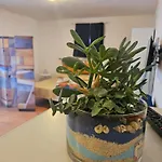 Casa Elicriso بيت للعطل *