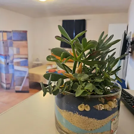 Casa Elicriso Semesterbostad *